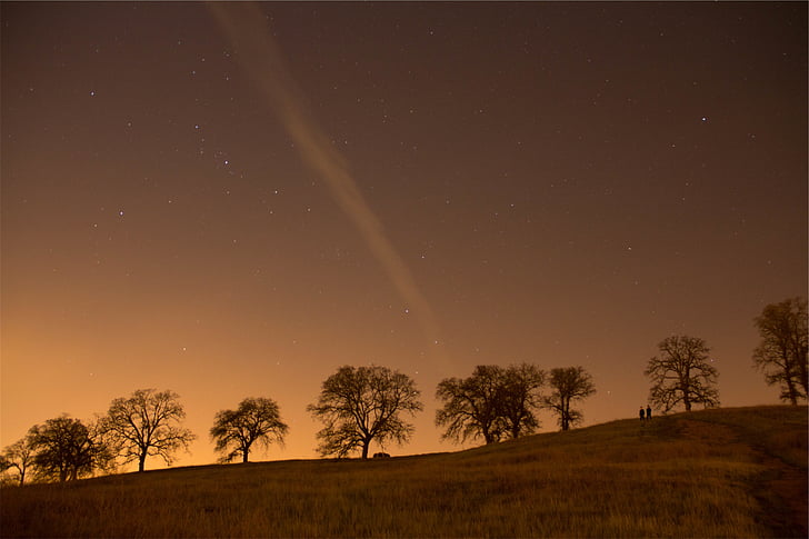 low, angle, view, mountain, trees, stars, sky