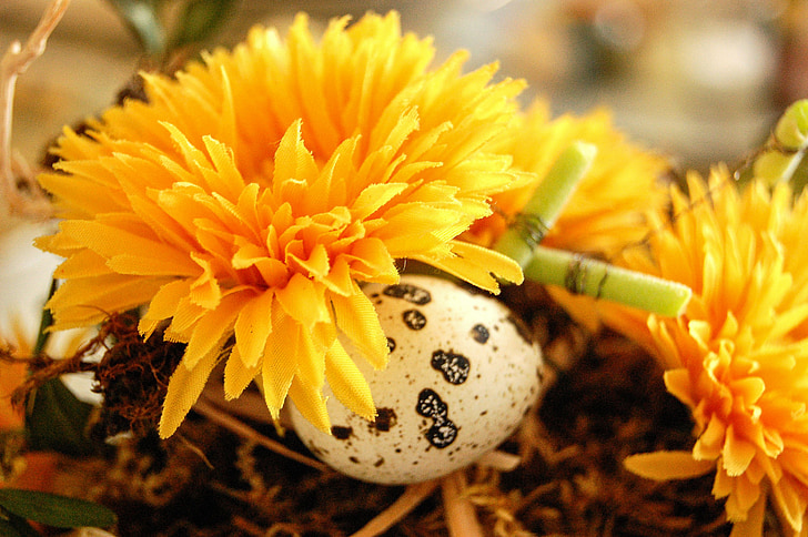 λουλούδι, αυγό, Πάσχα, Καλάμι, στολίδι, λουλούδια, Πασχαλινά αυγά