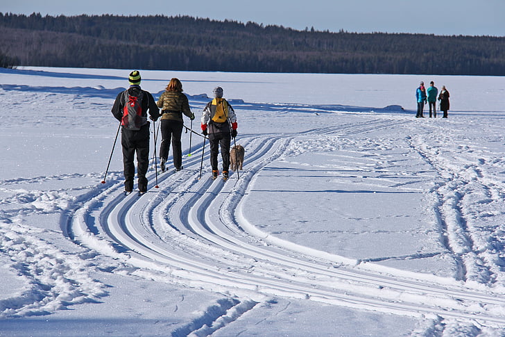 esqui, esqui, lago congelado, Lago Siljan, Lago, congelado, neve