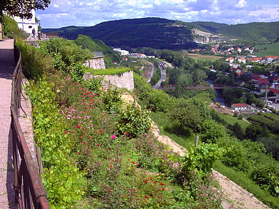 terrasse du château, fleurs, vue