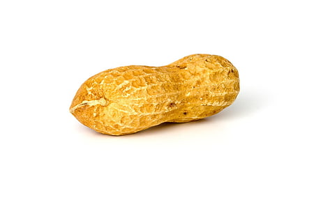 peanut, peanuts, nut, food, whole, brown, yellow