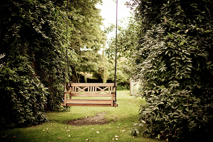 bench, garden, grass, hanging, plants, swing, tree