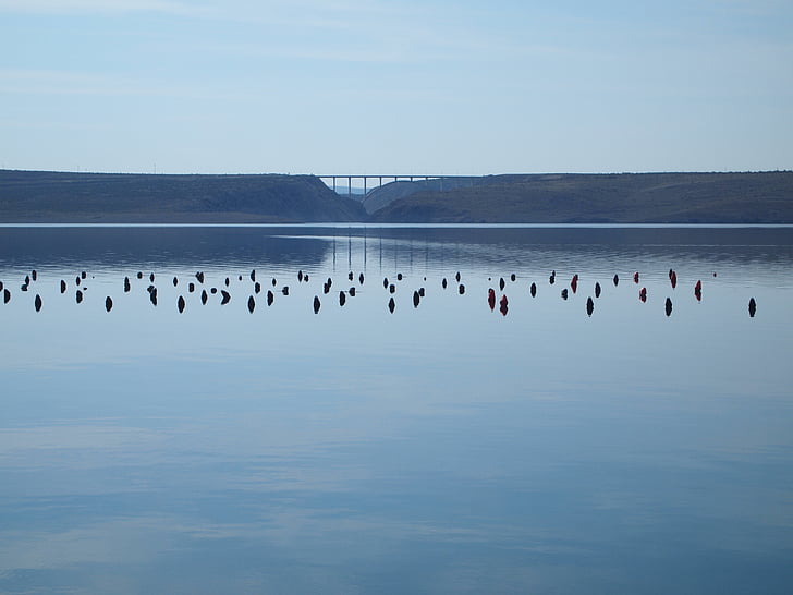 pageru most, Chorvatsko, Dalmácie, ostrov pag, Já?, voda, Příroda