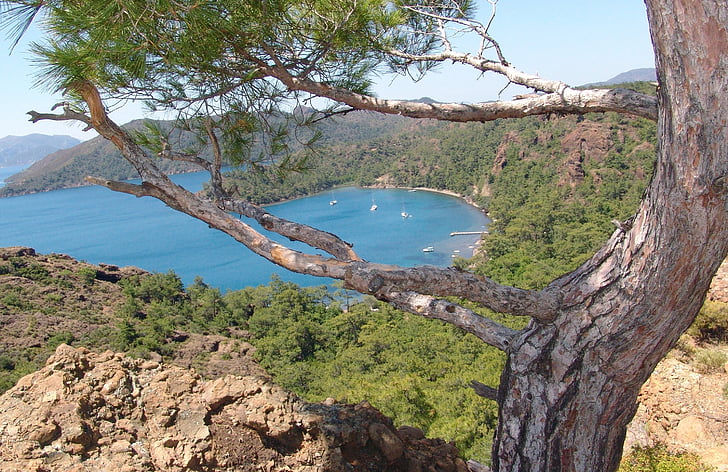 Turquia, reservado (a), Mediterrâneo, férias, Costa, ponto de vista