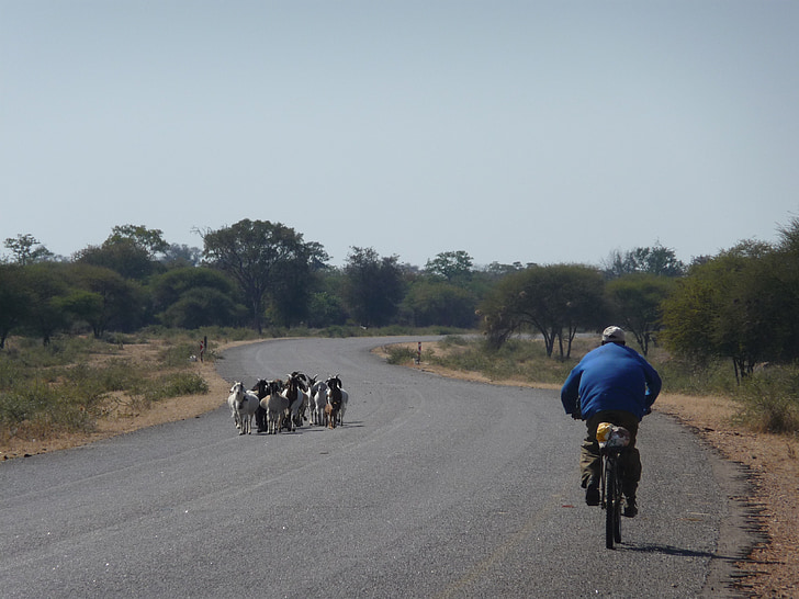 lonely, africa, cyclist