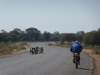 solitário, África, ciclista