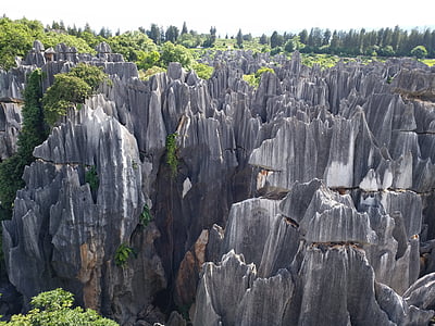 sten skog, i provinsen yunnan, landskap