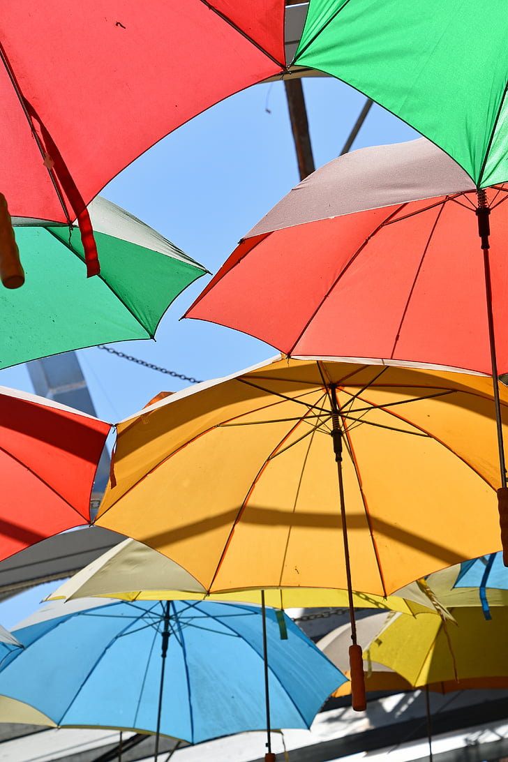 umbrella, multi colour, color, rainbow, gay, natural, dom