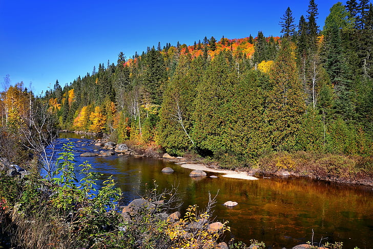 秋季景观, 秋天, 河, 森林, 颜色, 山, 水落