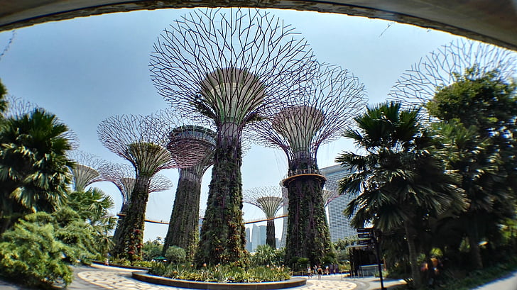 artificial tree, singapore, botanical garden