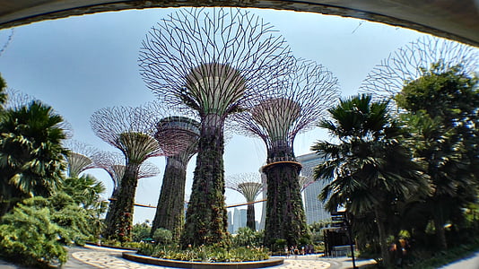 kunstigt træ, Singapore, Botanisk have