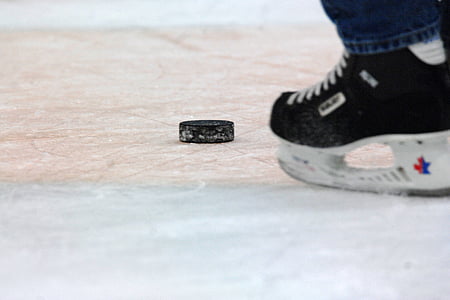 hockey puck, skater, ice, skates, player, skating, playing