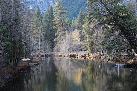 jesień, Jezioro, lasu, krajobraz, wody, Yosemite, Kalifornia