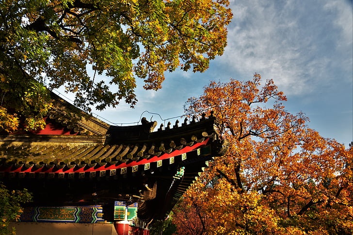 automne, architecture antique, toit, feuilles rouges