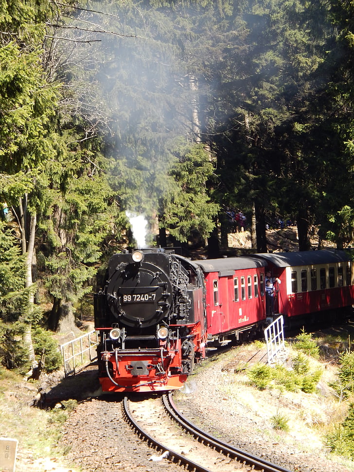 chemin de fer du Brocken, résine, locomotive à vapeur, chemins de fer Harz voie étroite, Ostharz