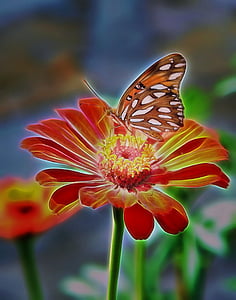 papillon, Zinnia, coloré, nature, insecte, faune, fleur