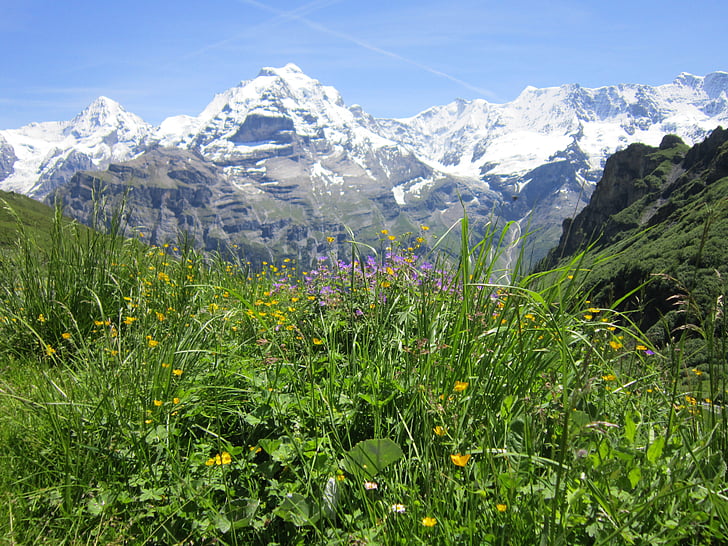 schweiziske, Alperne, Alpine, Mountain, landskab, rejse, Se