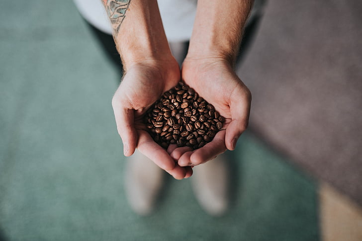 hand, palm, coffee, beans, seeds
