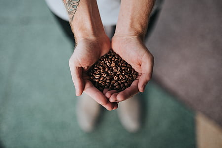 ruka, dlaně, káva, fazole, semena