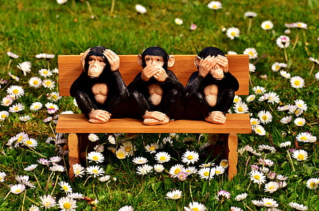 não ouvir, Não veja, Não falo, macaco, Sente-se, banco, figuras