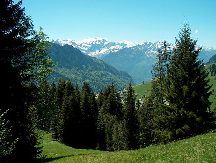 Švicarska, snijeg, stabla, krajolik, putovanja, Europe, planine