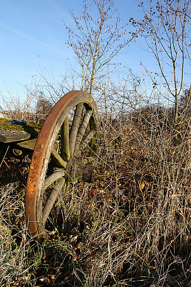 Wagon wheel, hjulet, gamla, Tost, nostalgisk, jordbruk, transport hjul