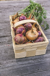 basket, carrots, harvest, onions, table, vegetables, wooden