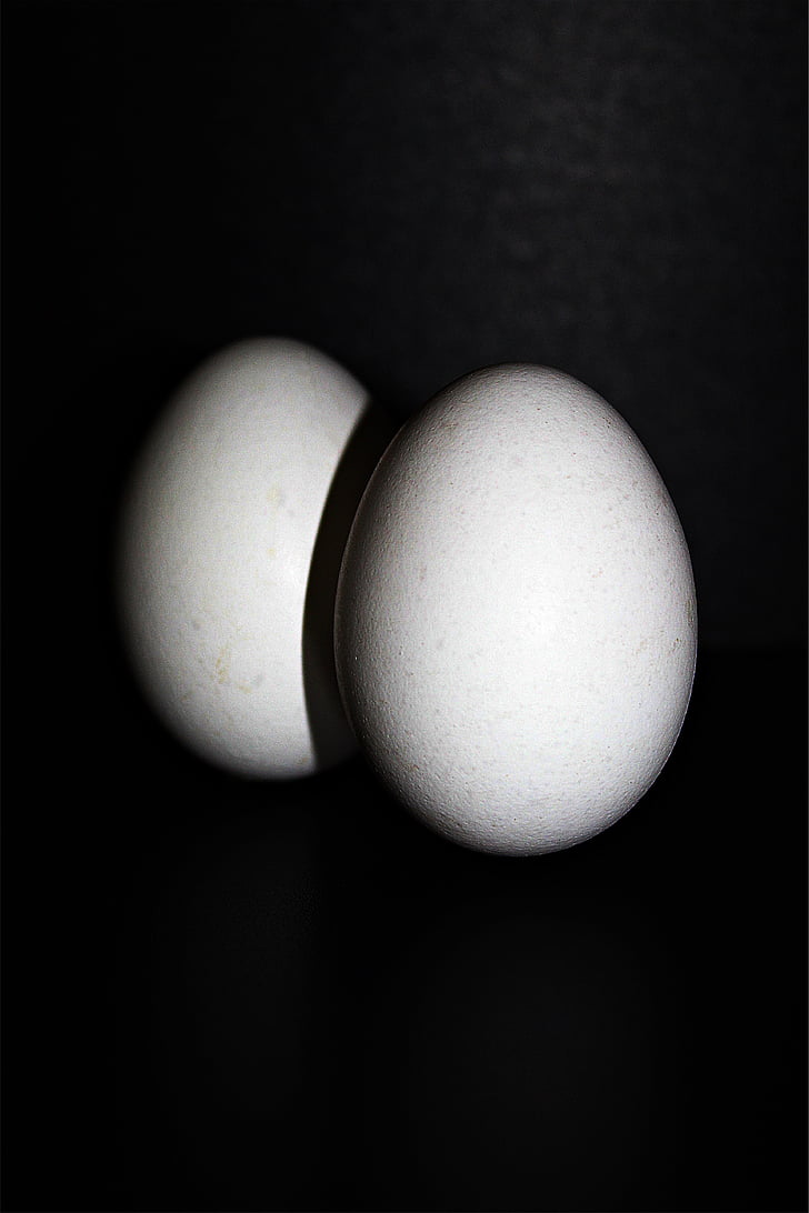 Chicken egg, egg, hønseegg, mat, oval, egg skall, ernæring