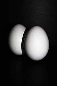 鶏の卵, 卵, 鶏の卵, 食品, オーバル, 卵の殻, 栄養
