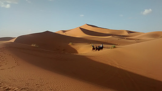 öken, Marocko, Dunes, sanddyn, Sand, torr, Saharaöknen