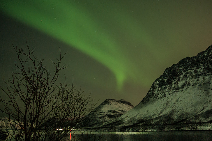 Norvégia, Lappföld, Aurora borealis, Star, sarki éjszaka, fjord