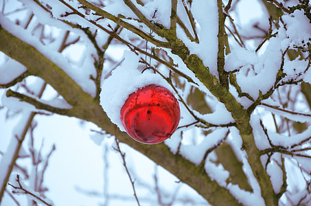 neu, esfera, Nadal, decoració, l'hivern, Nadal, vacances