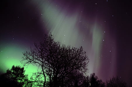 aurores boréales, Aurora polaris, Norvège