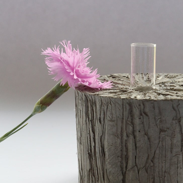 flower, pink, concrete, vase, design, decoration