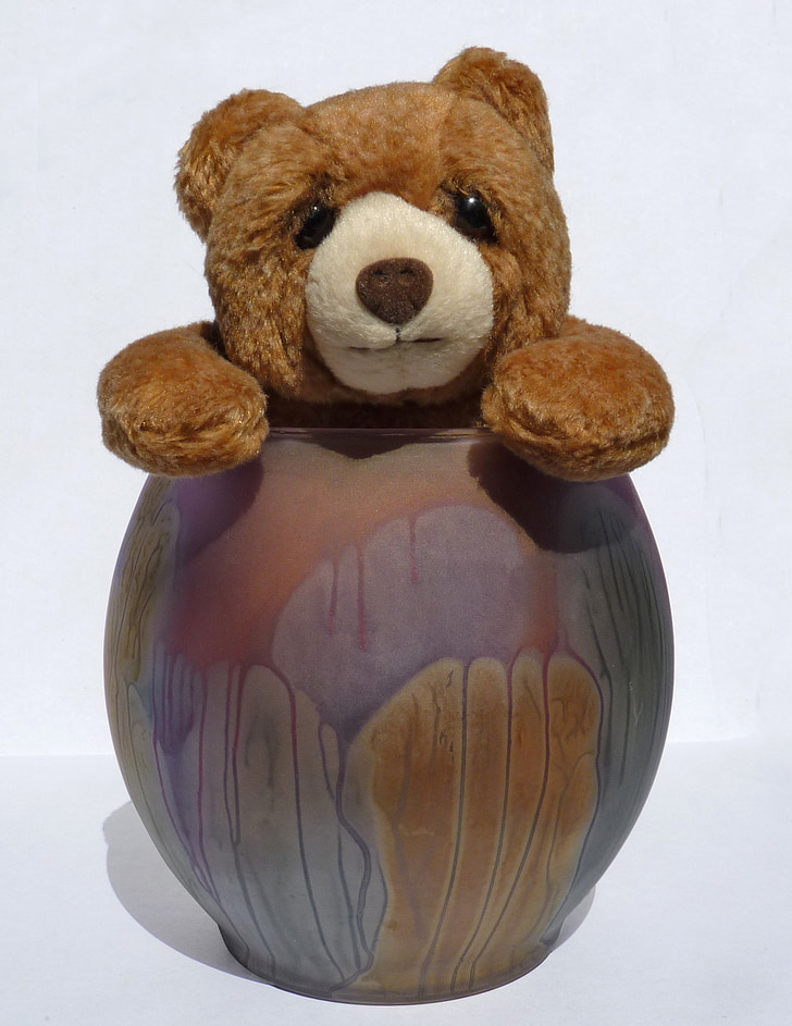 bear, stuffed animal, toy, vase, teddy, furry, cute