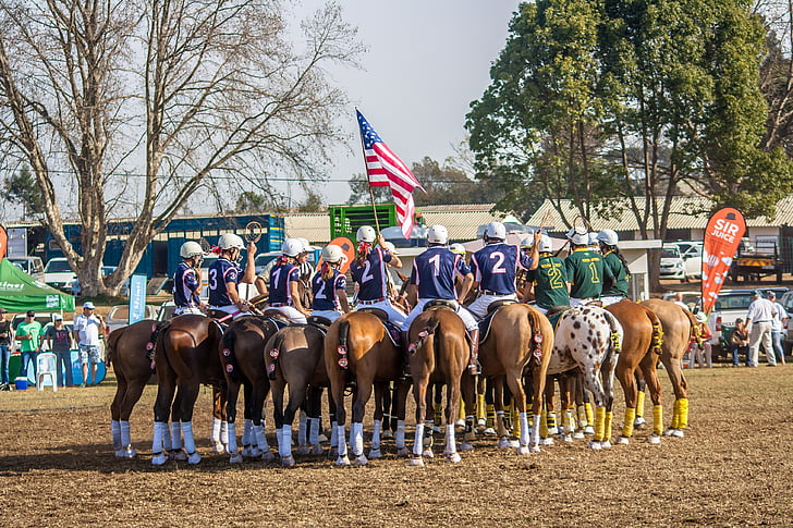 sport, Polo cross, ló, Amerikai Egyesült Államok, Polo, labda, állat