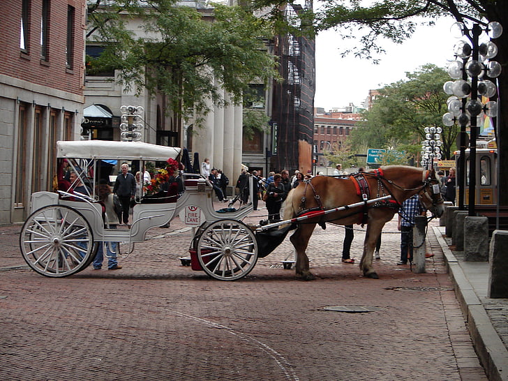 cheval, transport, Boston, autocar, Tourisme, tirée par un cheval