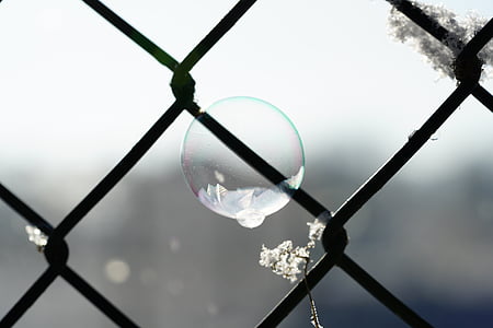 soap bubble, frozen, fence, winter, frozen bubble, ze, cold