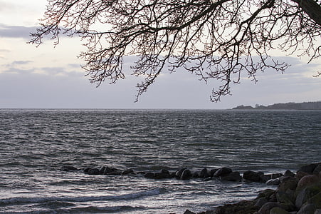 海, 水边缘, 云彩, 海滩, 美丽, 自然, 丹麦