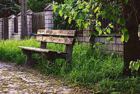 bench, wooden, bus stop, nature, sidewalk, grass, empty
