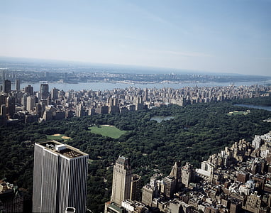 New york city, központi park, Skyline, felhőkarcoló, városi, utca-és városrészlet, fa