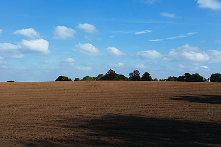 Zdjęcie, brązowy, pole, gospodarstwa, brud, gleby, drzewa