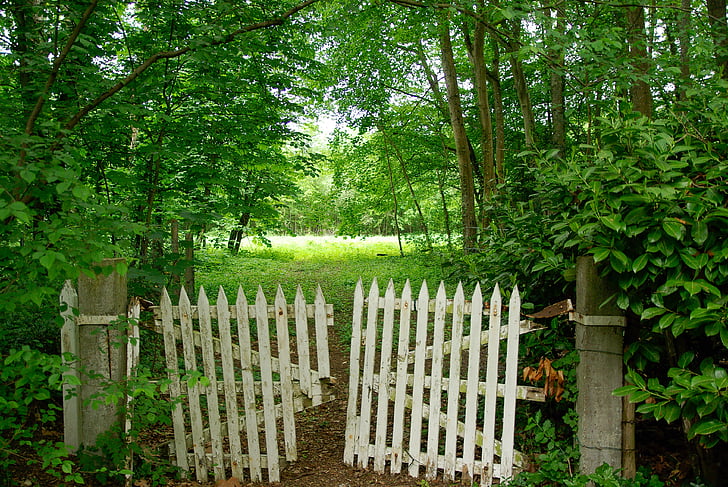Portál, zatváranie, bariéra, položka, plot, Príroda, drevo - materiál