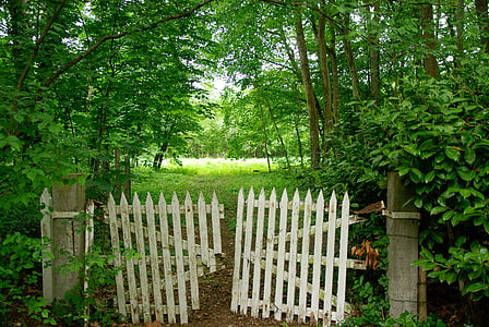 portail, fermeture, barrière, entrée, clôture, nature, bois - matériau