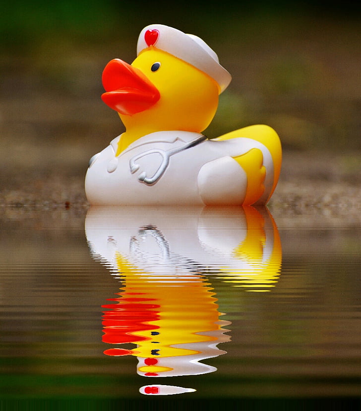 rubber duck, bath duck, mirroring, water, nurse, quietscheente, funny summer