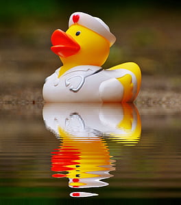 rubber duck, bath duck, mirroring, water, nurse, quietscheente, funny summer