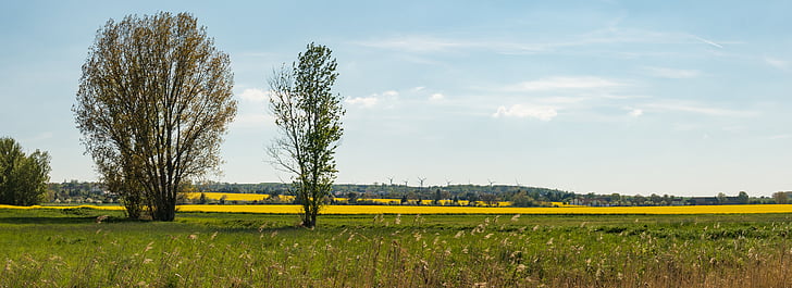 Felder, Landschaft, Panorama, Sommer, Feld, Landwirtschaft, Wachstum