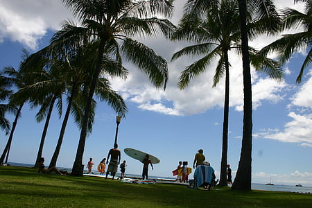 Hawaii, pludmale, Surf, okeāns, jūra, Sports, ūdens sporta veidi