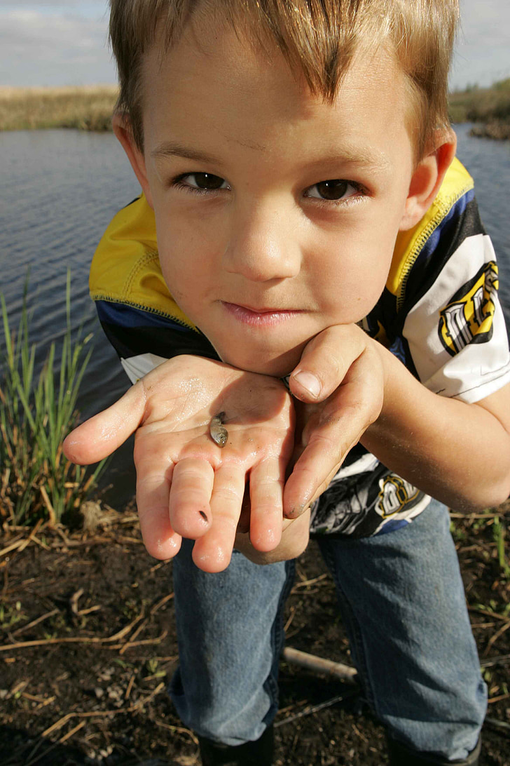 fish, small, holds, boy, young, kids, children