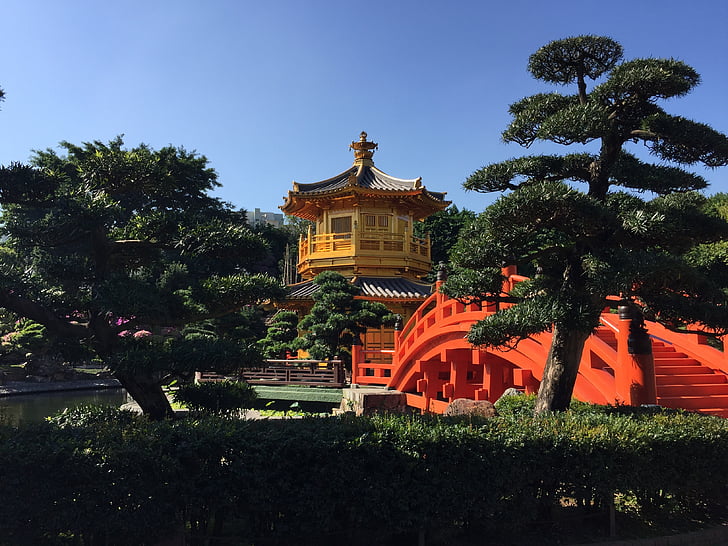 Zlatý pavilon, dynastie Tchang, zahrada, Hongkong, Chi lin klášter, mírové, parku